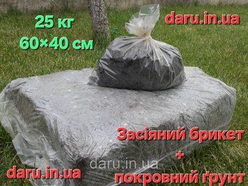 Акція "Грибні Вихідні" Повний комплект блок білої печериці (печериць, шампіньйонів) Sylvan (Сільван) Стандарт + покривний грунт. 2560813244 фото