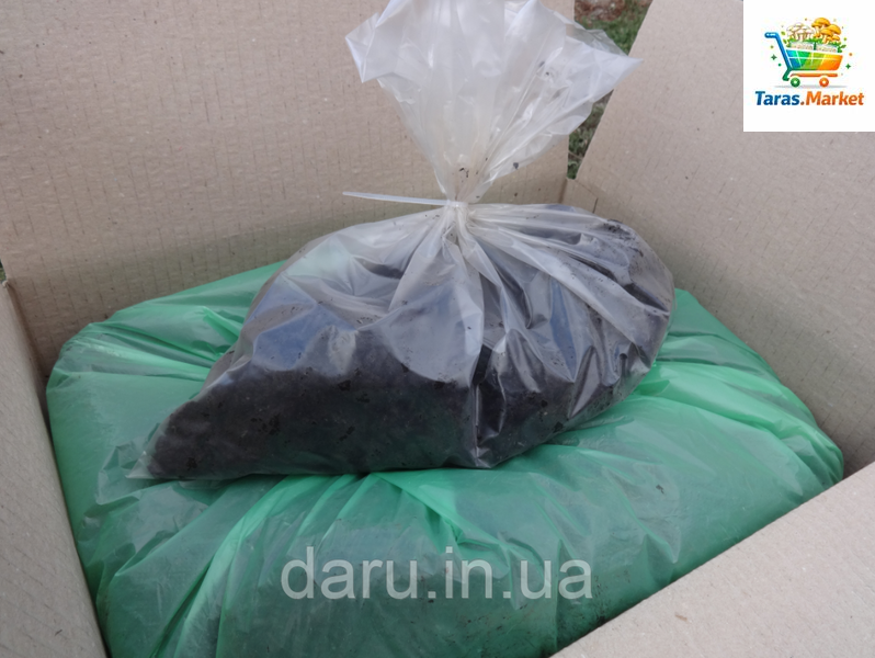 Набір для вирощування королівських (коричневого) печериць Heirloom Сімейний 838602535 фото