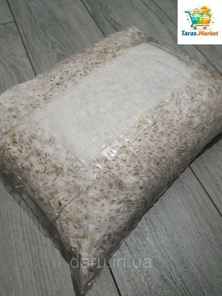 Мицелий Вешенки зерновой К 17 упаковка 6 кг 21528222 фото