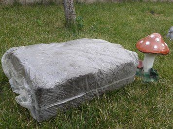 Блок білої печериці Стандарт 60х40 см Sylvan (Сільван) без покровного грунта 31945048 фото