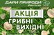Акция Грибные Выходные Грибной блок Гливи (Вешенки) К 17 25х66 см, 8 кг 2766899188 фото 1