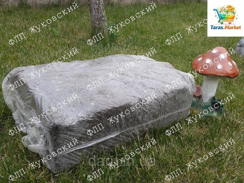 Блок королівського шампіньона (печериці) Стандарт 60x40 см без покровного ґрунту 1123009181 фото