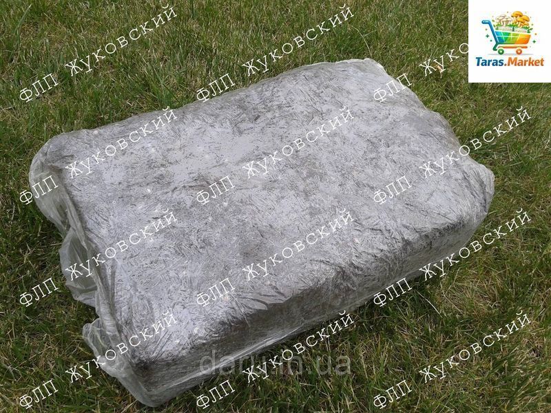 Блок королівського шампіньона (печериці) Стандарт 60x40 см без покровного ґрунту 1123009181 фото