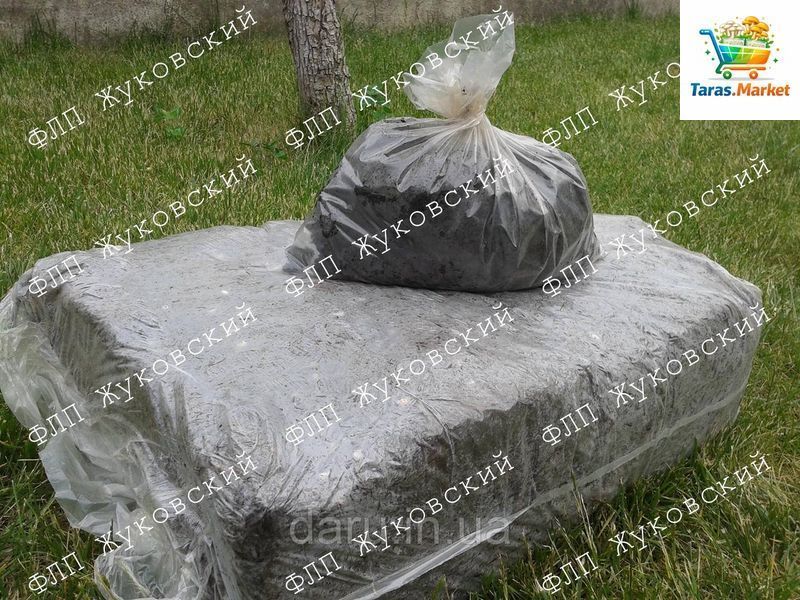 Повний комплект королівського шампіньйона Стандарт Королівський + покривний грунт 1123016366 фото