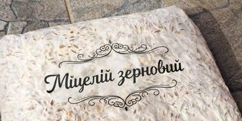 Міцелій банер