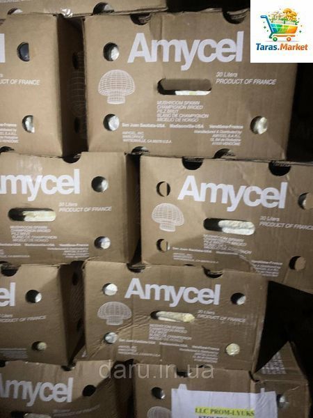Шампиньон мицелий Упаковка 9 кг с фильтром Amycel Exxcalibur 2531339286 фото