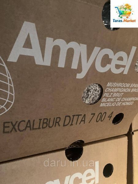 Шампиньон мицелий Упаковка 1 кг Amycel Exxcalibur 2531344838 фото